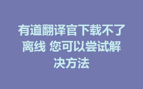 有道翻译官下载不了离线 您可以尝试解决方法