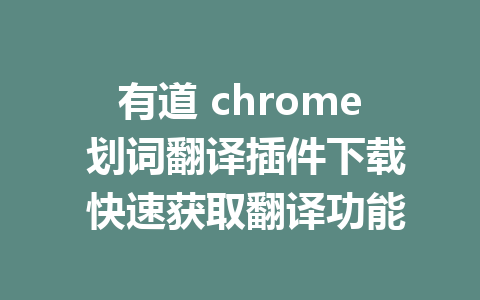 有道 chrome 划词翻译插件下载 快速获取翻译功能